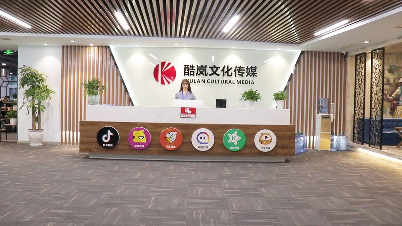 大疆纪录片拍摄设备：揭秘专业影像背后的技术奥秘