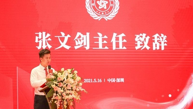 品牌策划方案模板：专业撰写指南